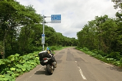 kmV[TChC